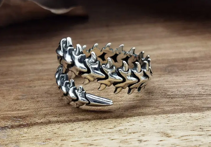 Verstelbare RVS Ring