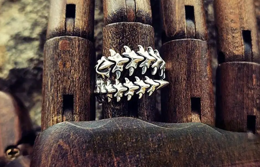 Verstelbare RVS Ring