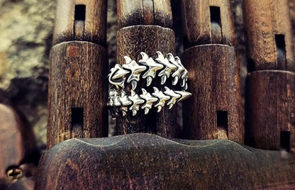 Verstelbare RVS Ring