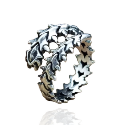 Verstelbare RVS Ring